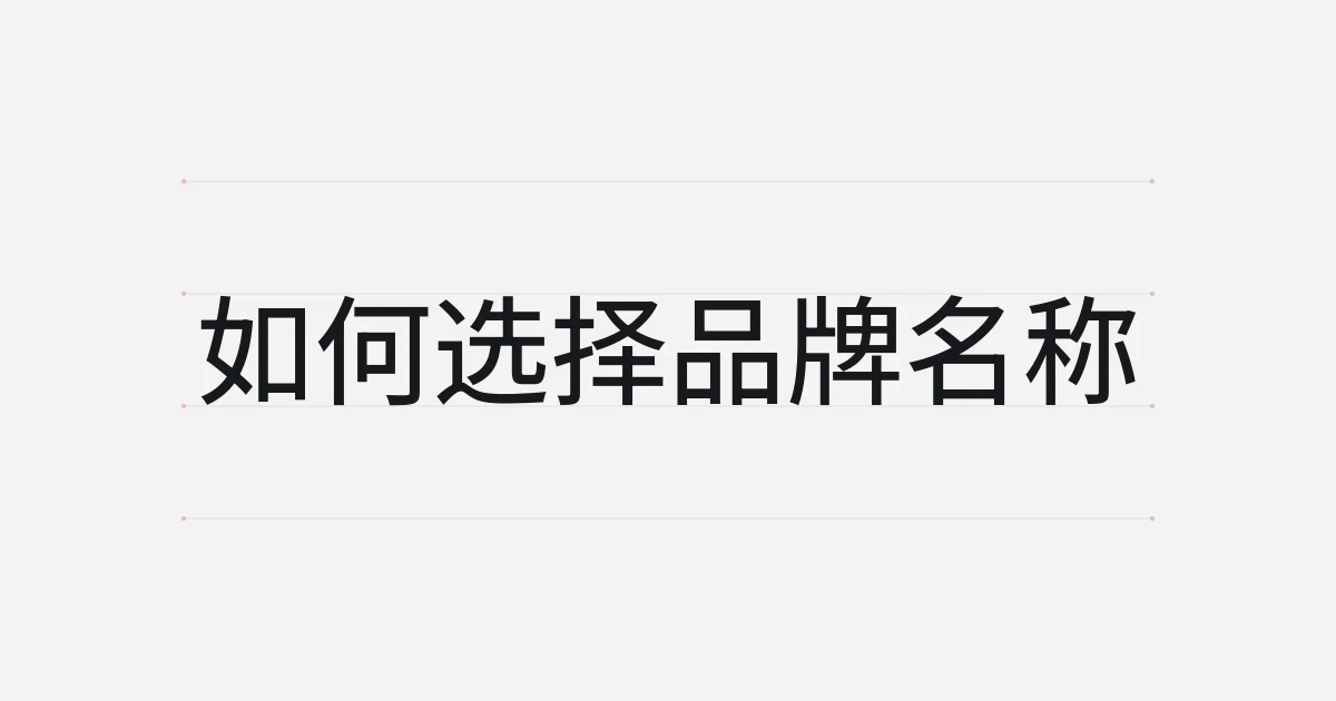 以如何选择品牌名称为主题的字体设计封面