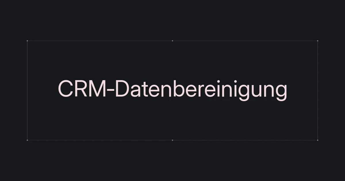 Typografisches Cover zur CRM-Datenbereinigung