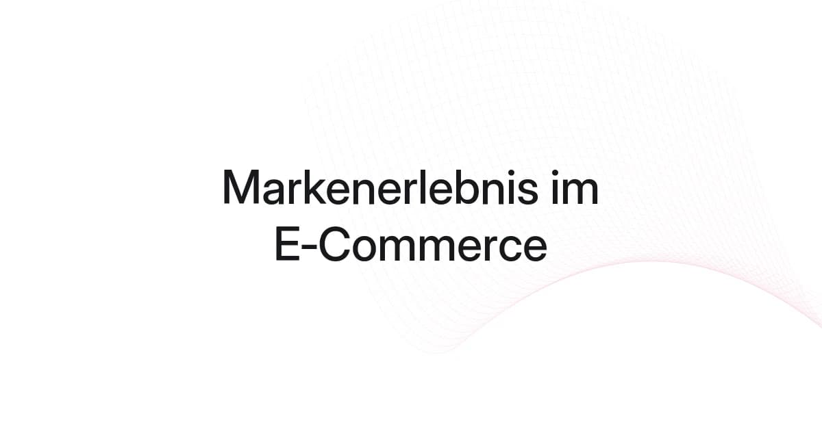 Cover mit Drahtgitter und Text zum Markenerlebnis im E-Commerce
