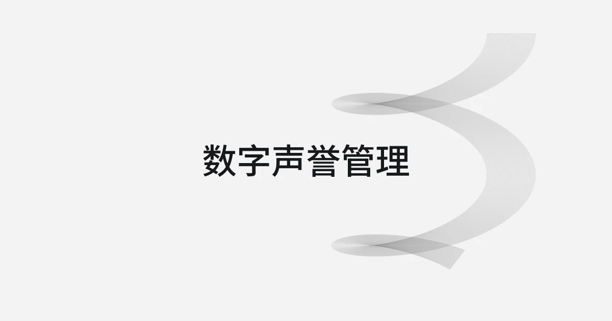 以数字声誉管理为主题的线框与文字封面